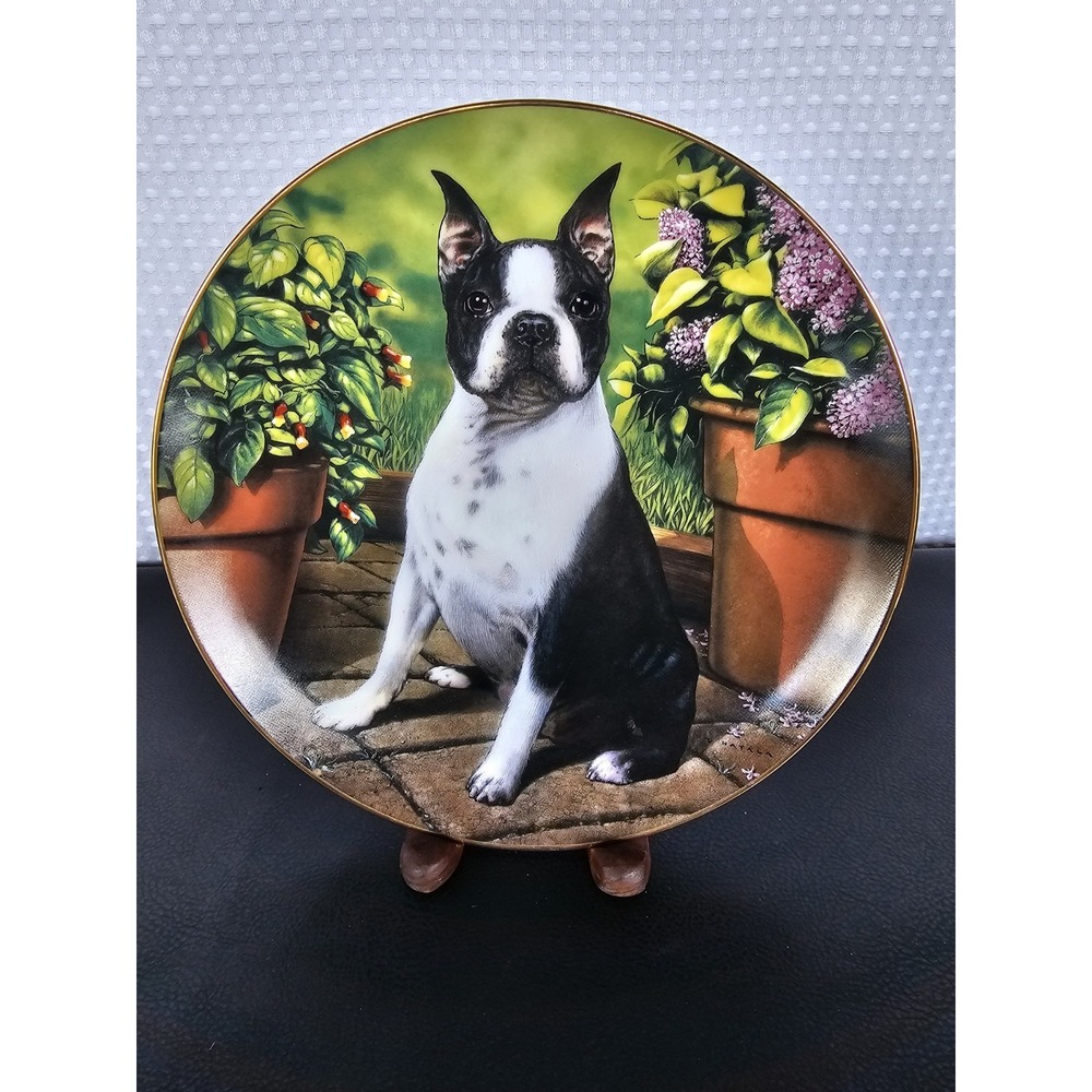 Danbury All Ears Boston Terrier Dog Plate Limited Edition by Dan Hatala